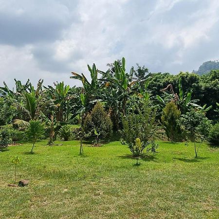 Tambun Hillview Cottage 1 Екстериор снимка