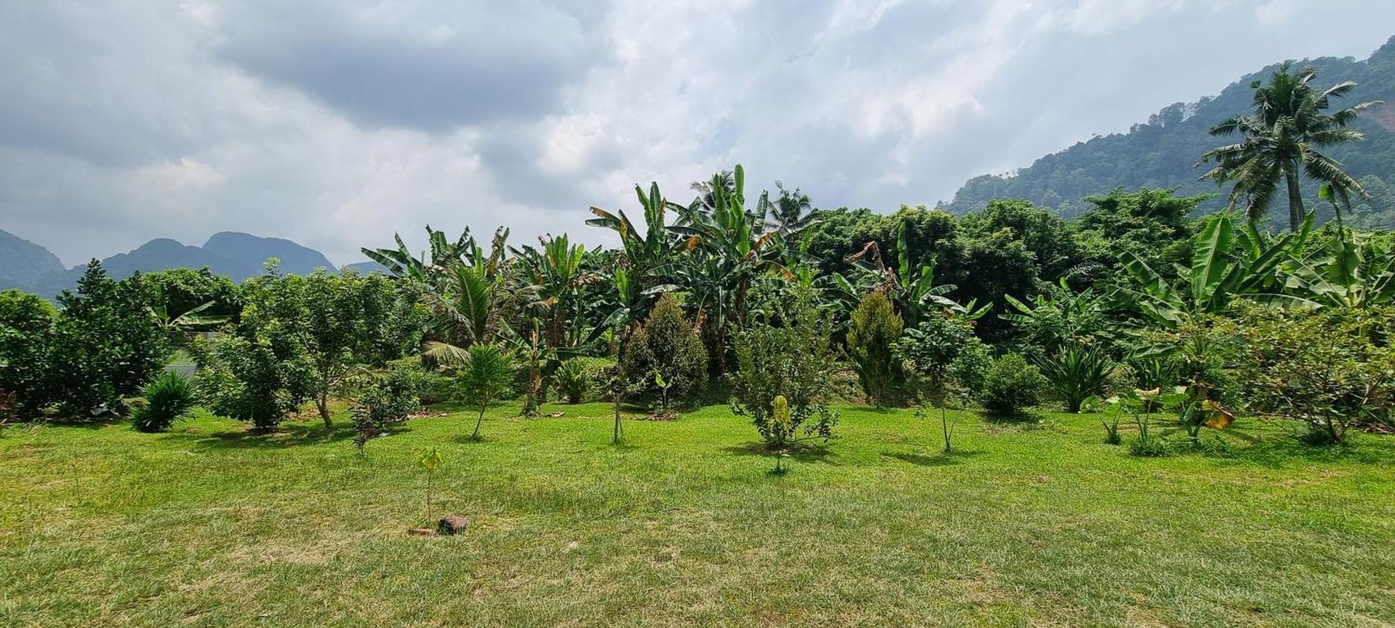 Tambun Hillview Cottage 1 Екстериор снимка